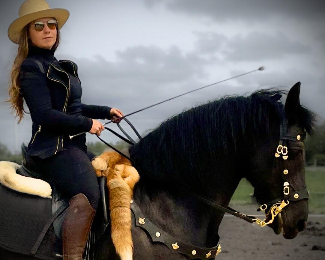 Frieser Xynhia van de wisseltplaats. billede 3