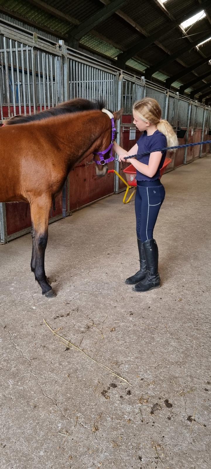 New Forest Jertrums Sweet Cookie Dough billede 2