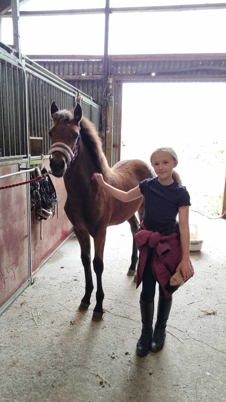 New Forest Jertrums Sweet Cookie Dough billede 1