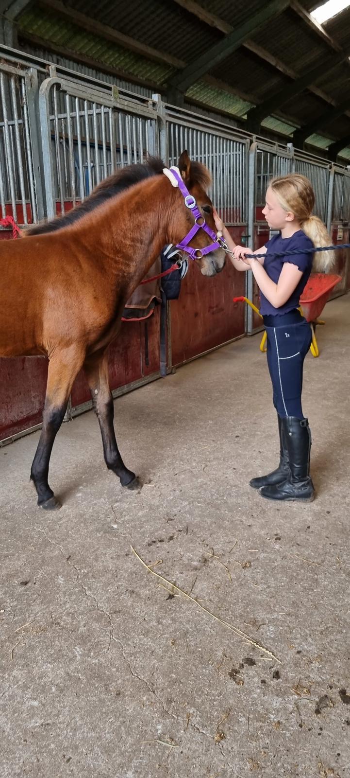 New Forest Jertrums Sweet Cookie Dough billede 3