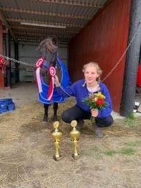 Anden særlig race Sandy billede 11