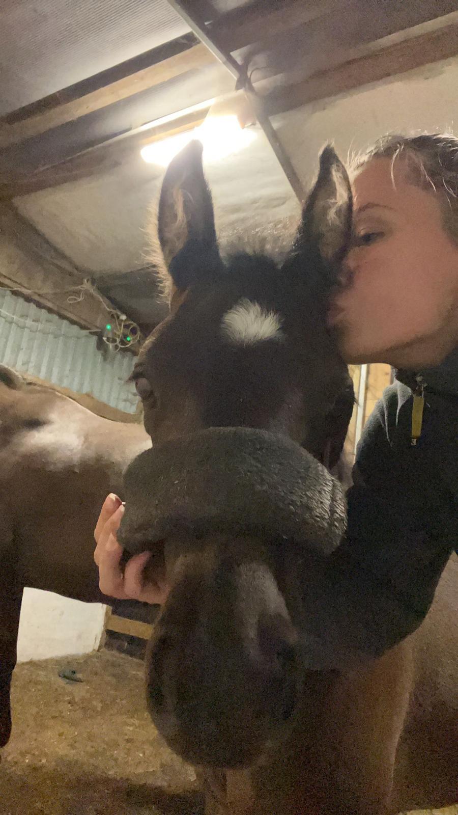 Anden særlig race Cera Rame billede 6