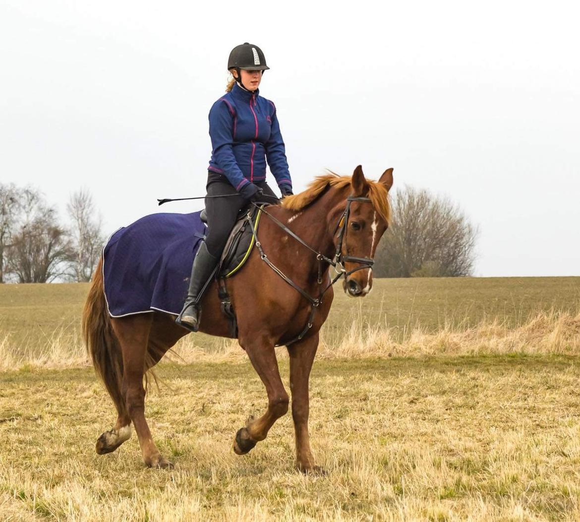 Traver Fighter Fay billede 5