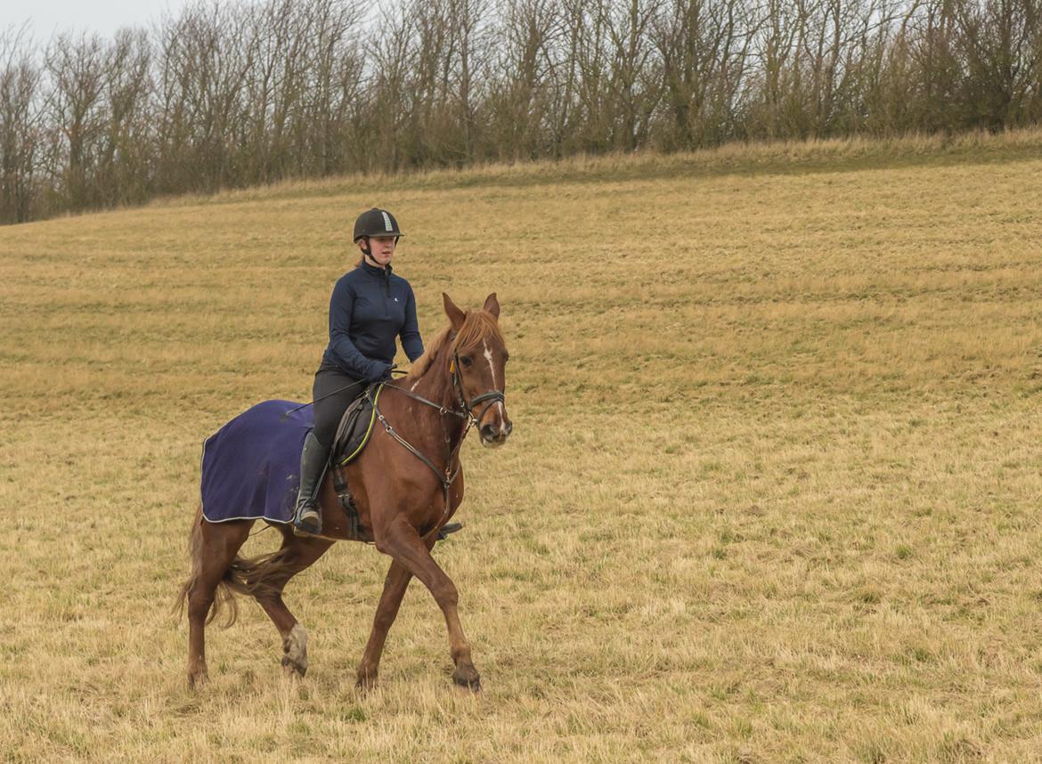 Traver Fighter Fay billede 7