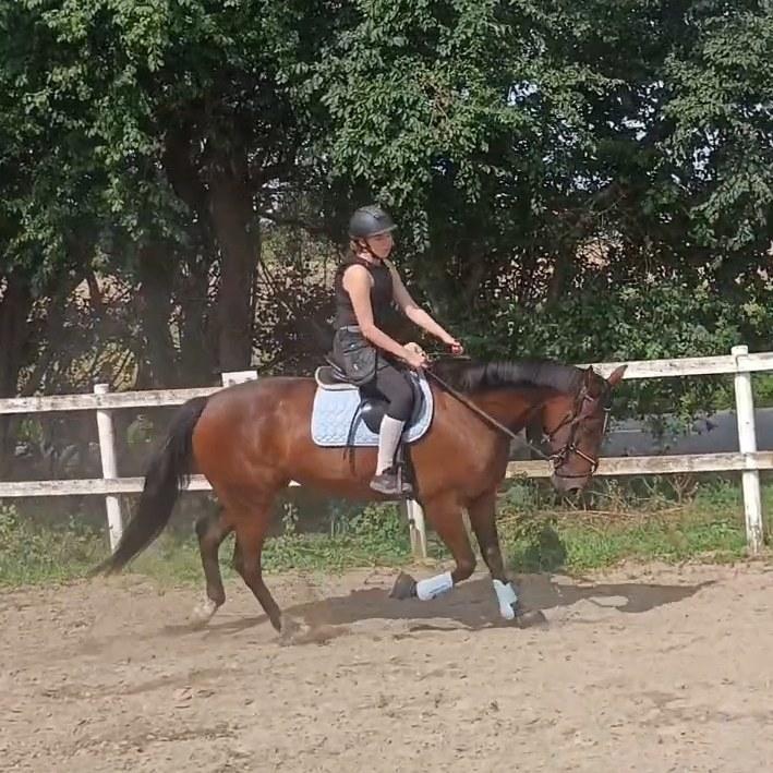 Anden særlig race Dancing clara billede 5