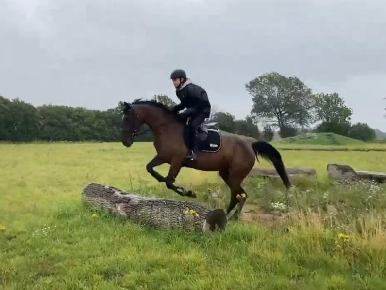 Anden særlig race Dancing clara billede 4
