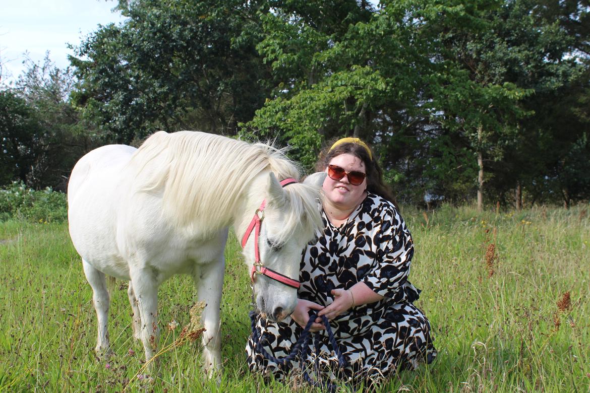 Welsh Mountain (sec A) Snehvide (Sne) - august 2023 billede 12