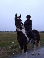 Pinto Solgårdens Liva billede 20