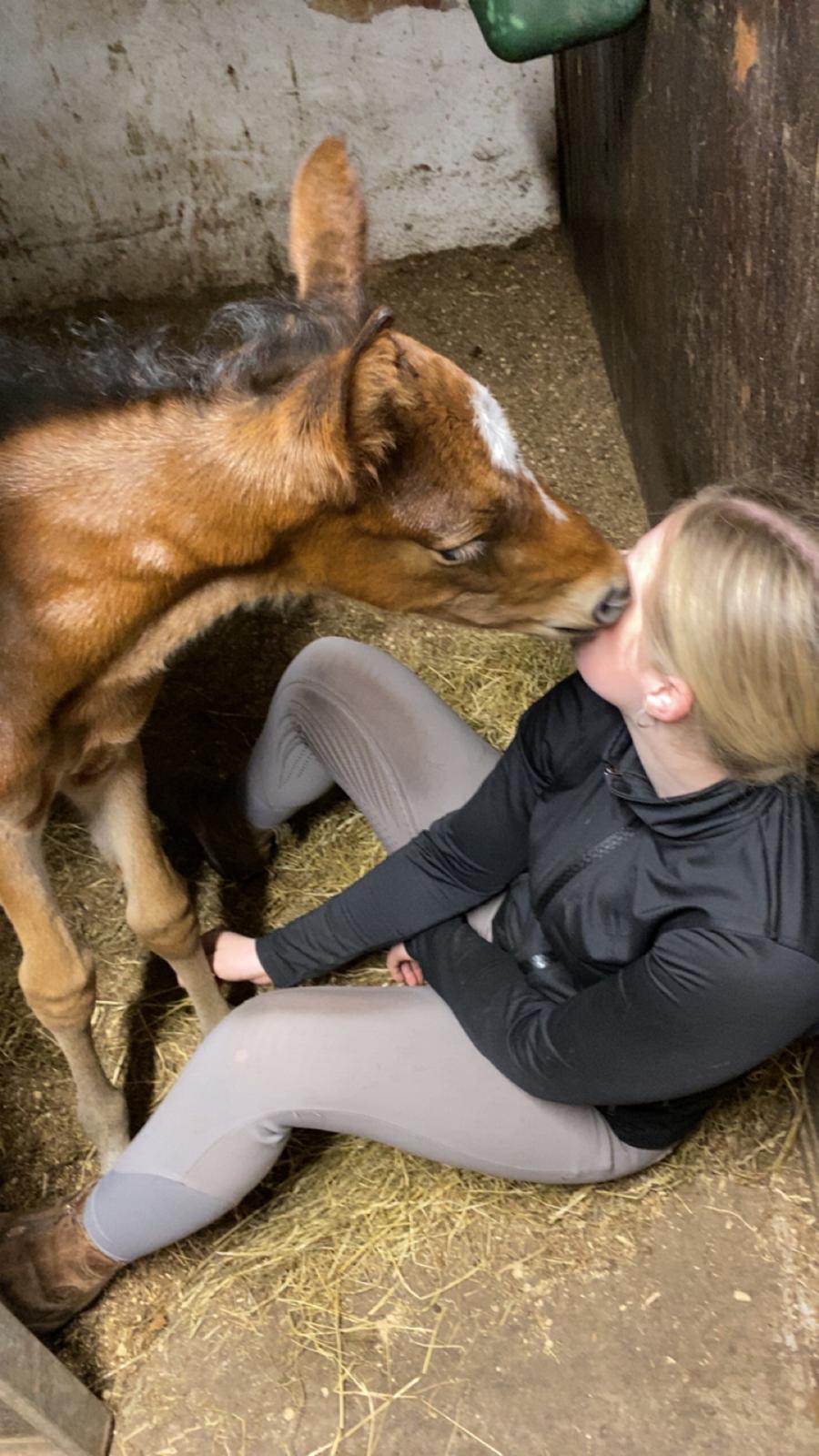 DSP R.N. Amazing Cherry (solgt) billede 11