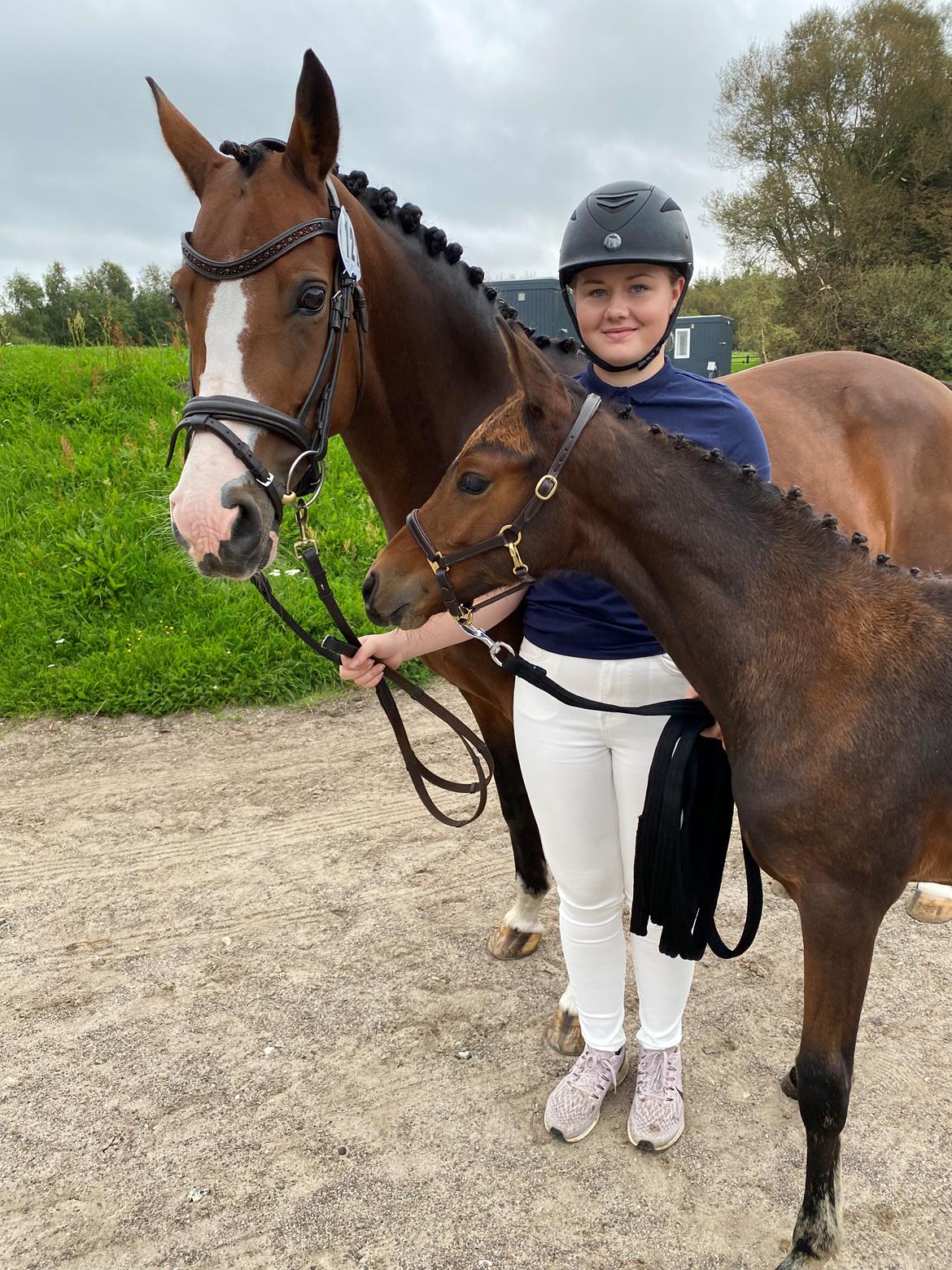 DSP R.N. Amazing Cherry (solgt) billede 17