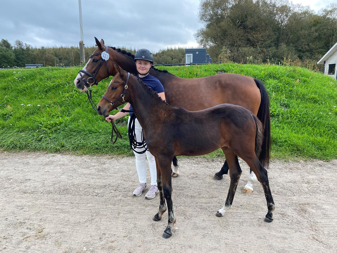 DSP R.N. Amazing Cherry (solgt) billede 18