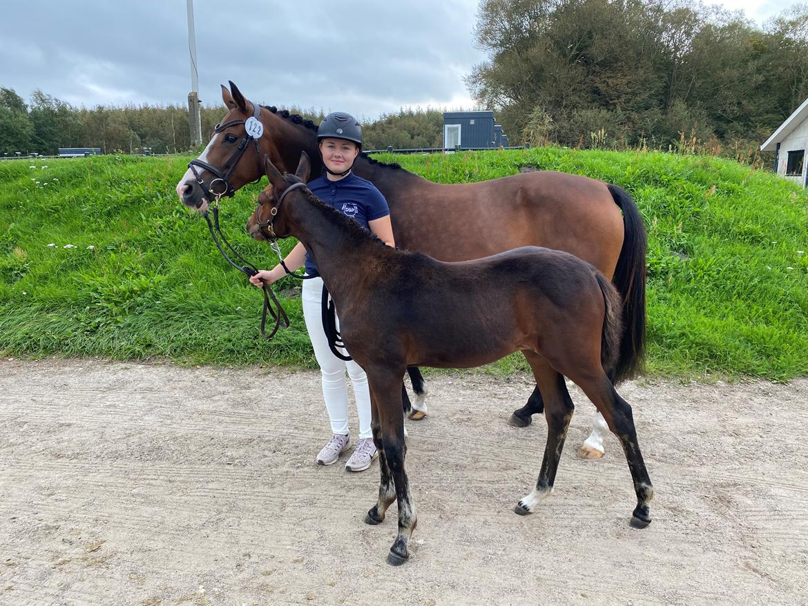 DSP Lykkehøjs Belle Ami  billede 16