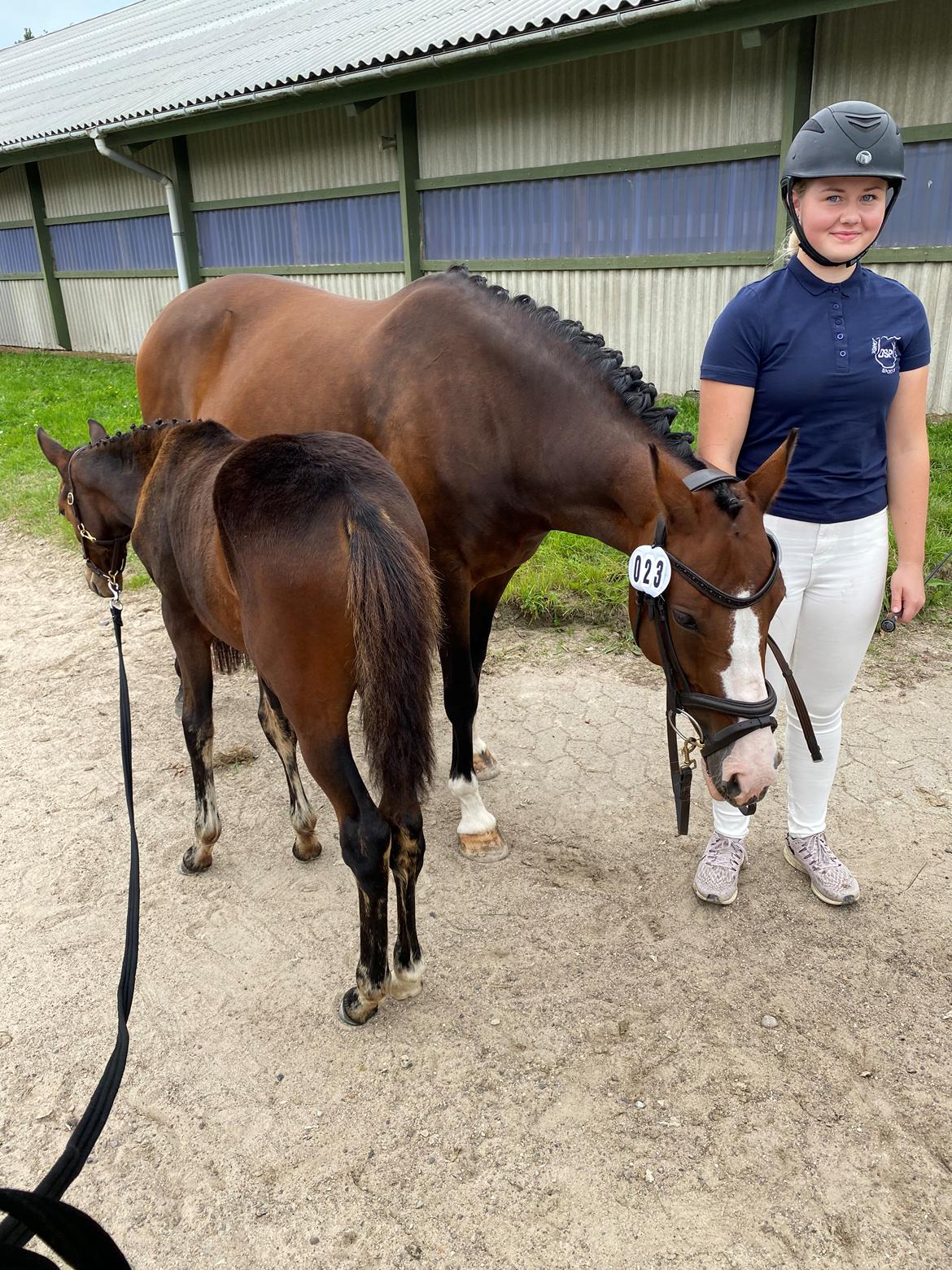 DSP Lykkehøjs Belle Ami  billede 18