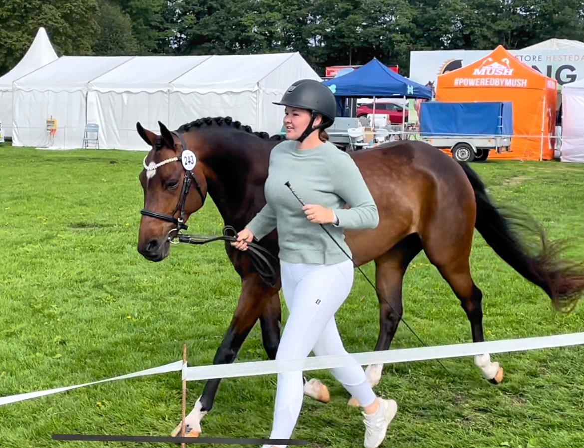 Anden særlig race TRUBKA'S RICARDO NIGHT billede 1