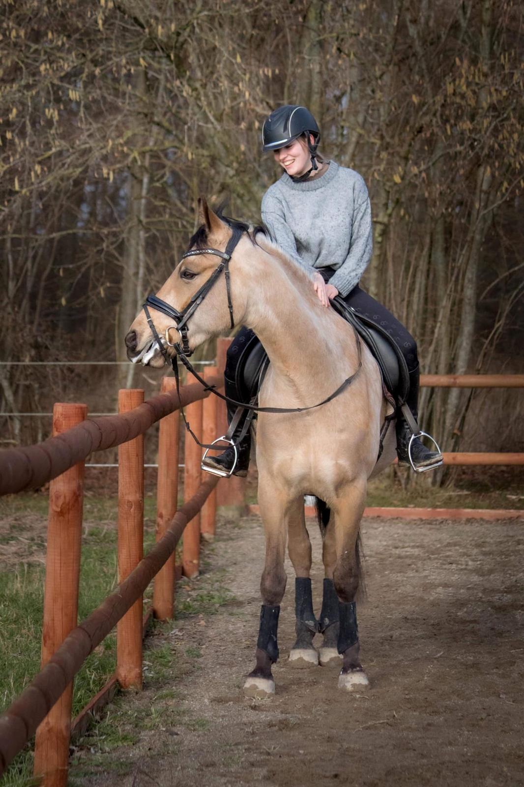 Anden særlig race Michelangelo billede 11
