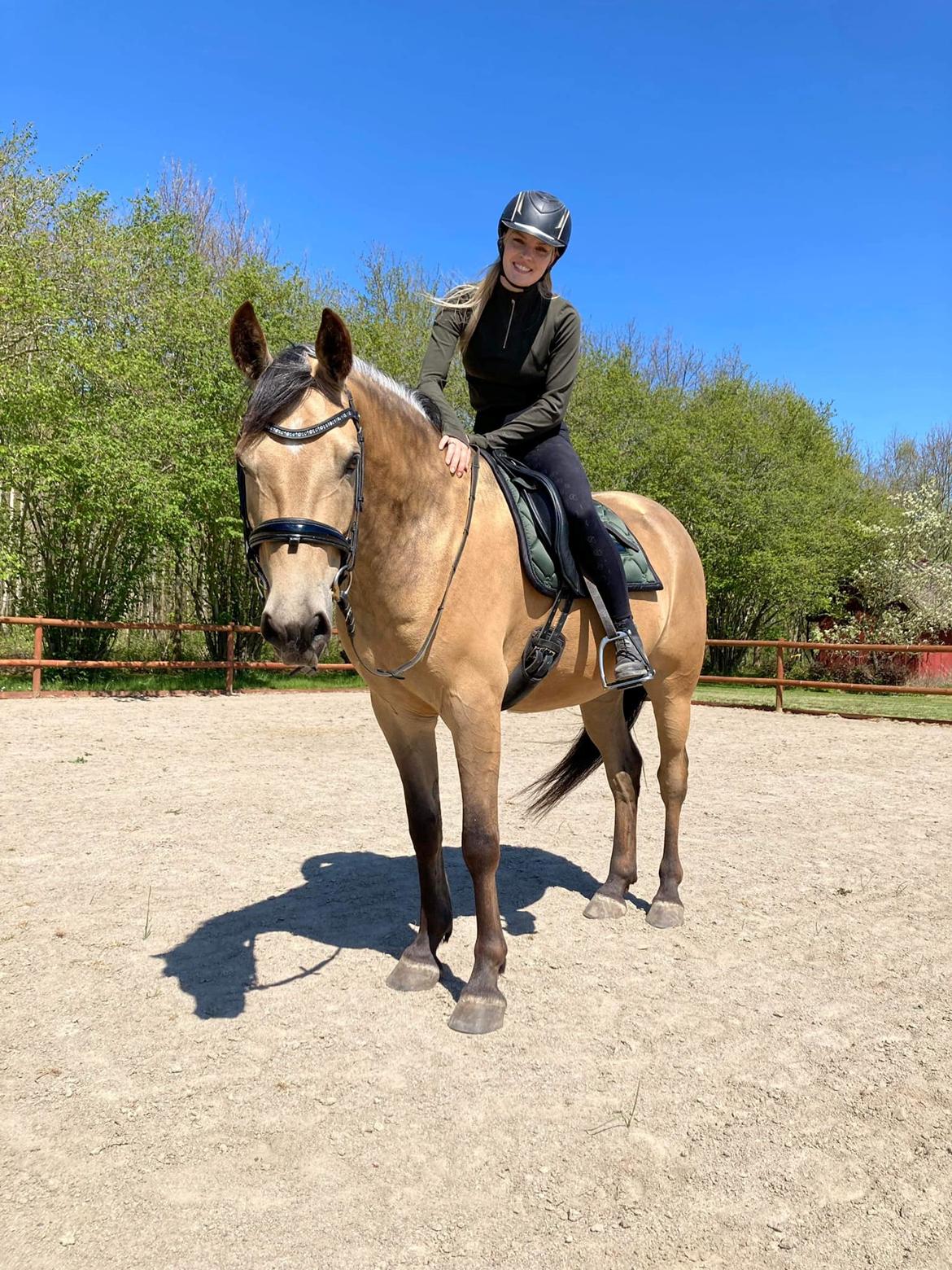 Anden særlig race Michelangelo billede 12