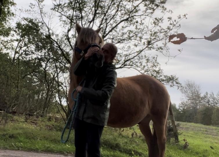 Anden særlig race | Odin  billede 2