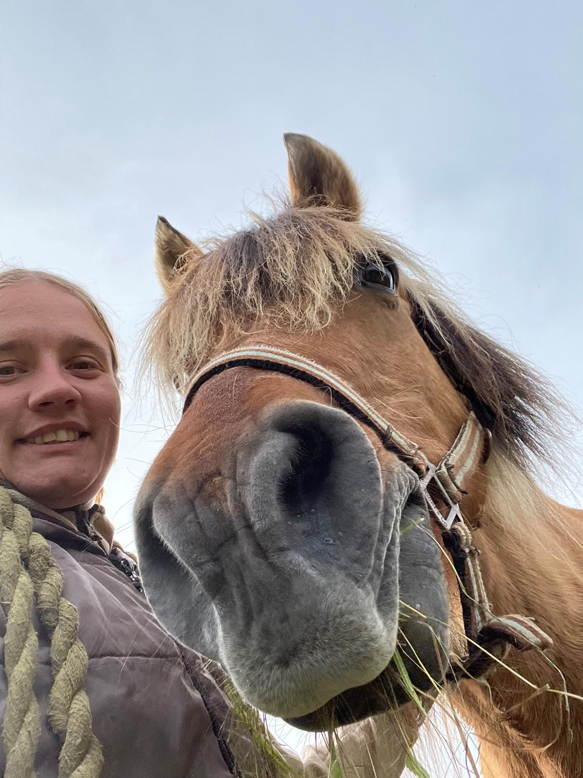 Anden særlig race | Odin  billede 4
