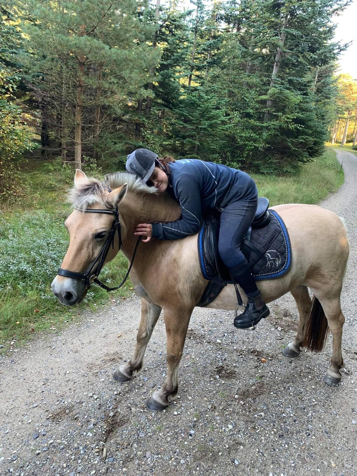 Fjordhest Oblings Annemone billede 16