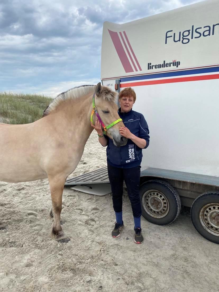 Fjordhest Oblings Annemone billede 9