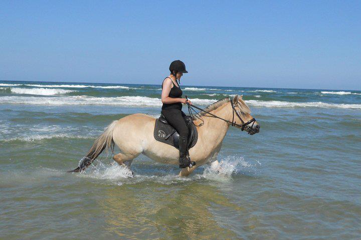 Anden særlig race Fresia billede 4