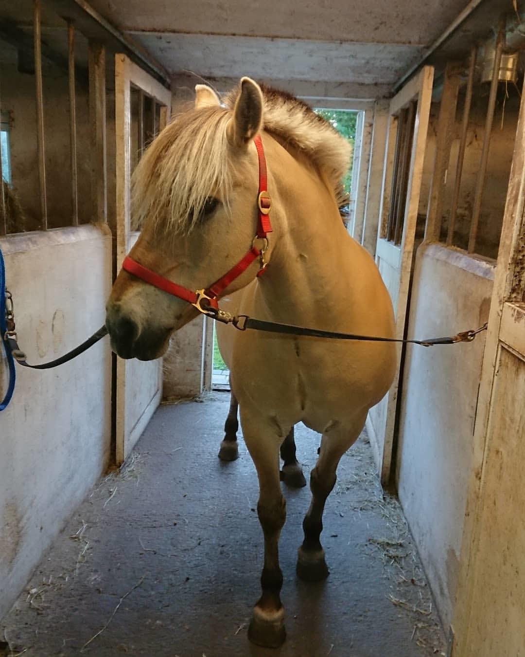 Anden særlig race Fresia - Velkommen til Fresias profil billede 1