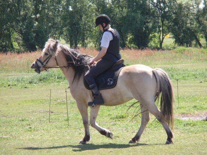 Anden særlig race Fresia billede 12