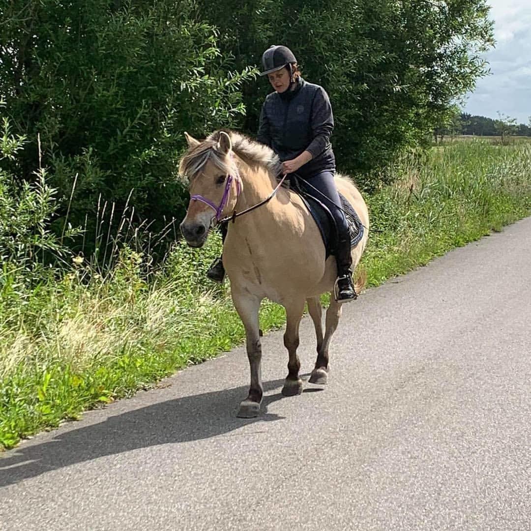 Anden særlig race Fresia billede 19