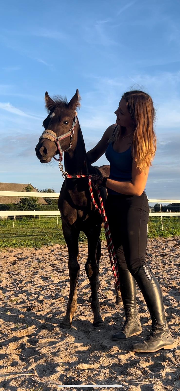 Anden særlig race Cera Rame billede 8