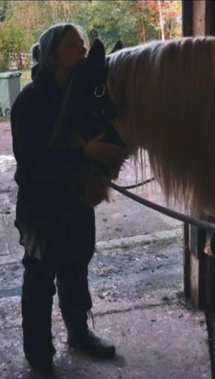 Irish Cob Luna ( Surprice Of Survivor) - Tak for alt, min dejlige pony pige <3 Jeg er så stolt af dig og savnet er stort billede 1