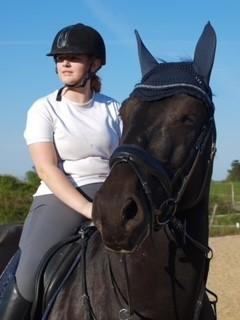 Schweres Warmblut Grønbæks Elmo billede 3