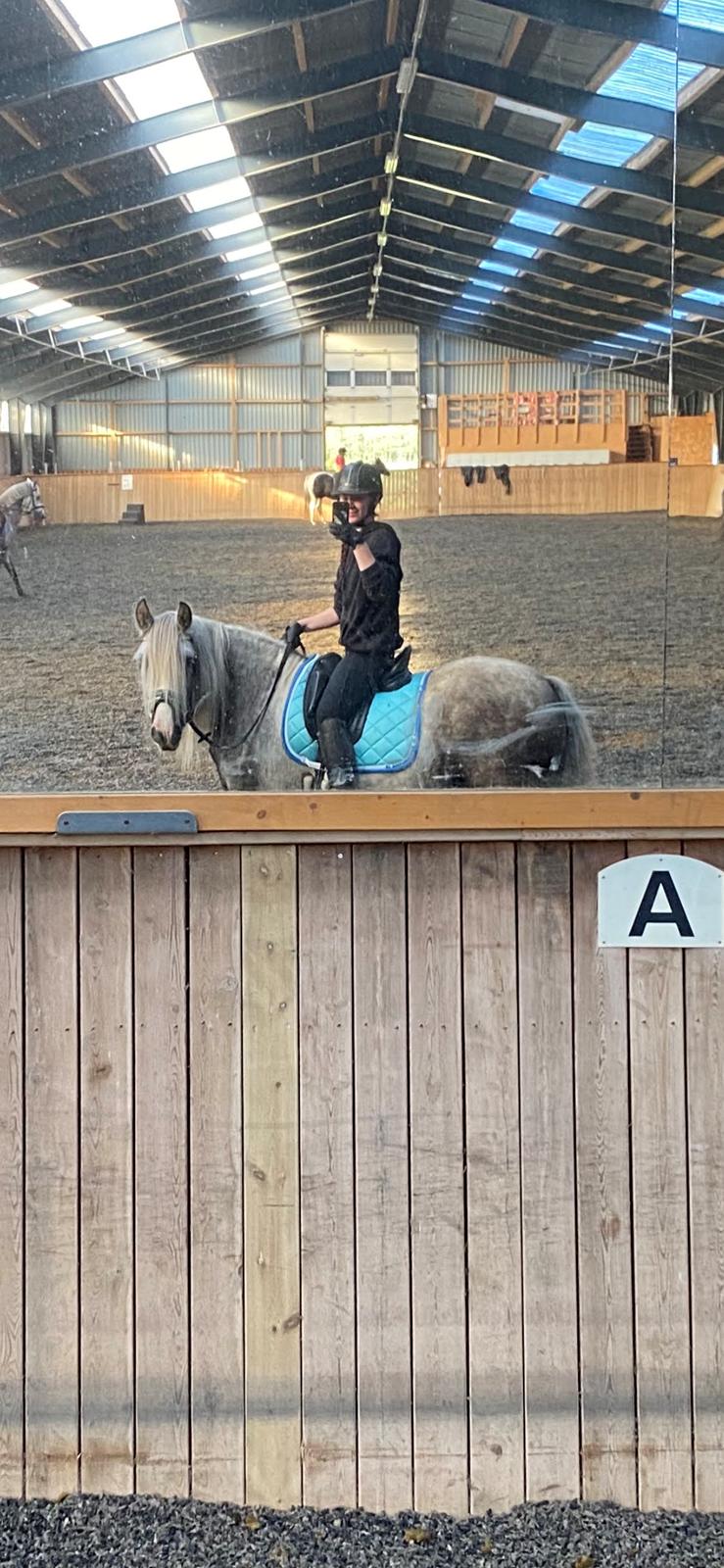 Irish Cob Nydal's Snowman billede 2