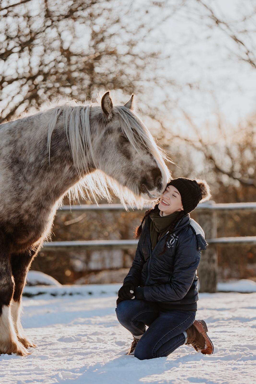 Irish Cob Nydal's Snowman billede 13