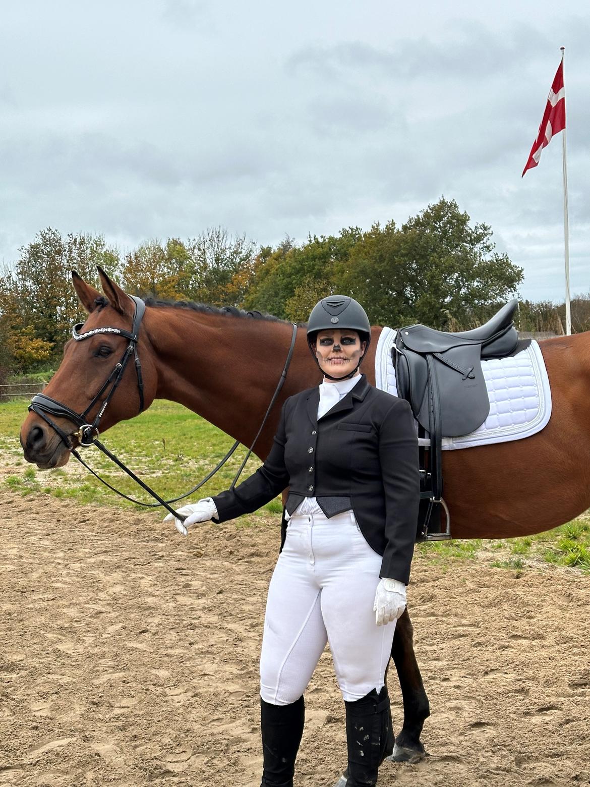 Trakehner Komet Sct. Olav - Halloween 2023🎃 billede 7