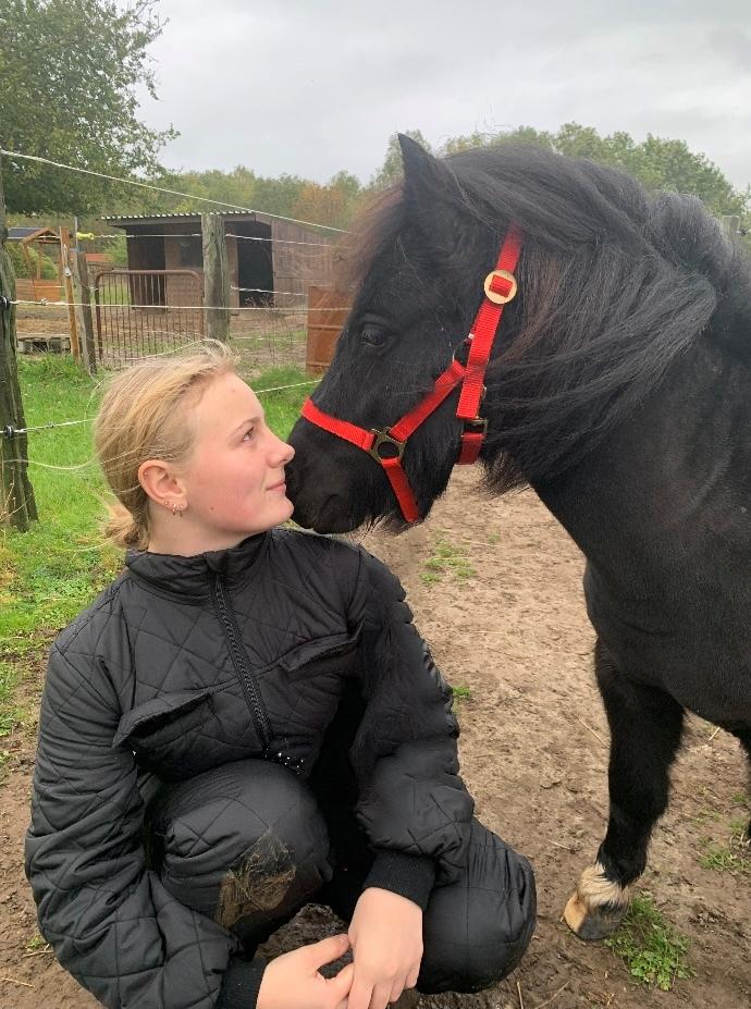 Shetlænder Veldt’s Hope Of Dreams billede 14