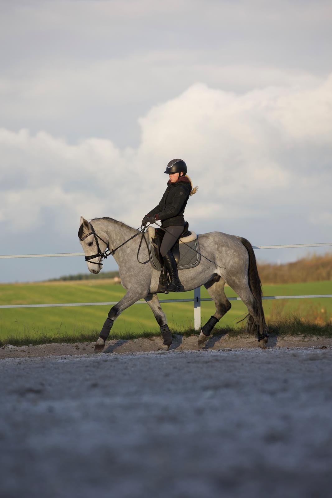 DSP DUPLO-VITZ billede 1