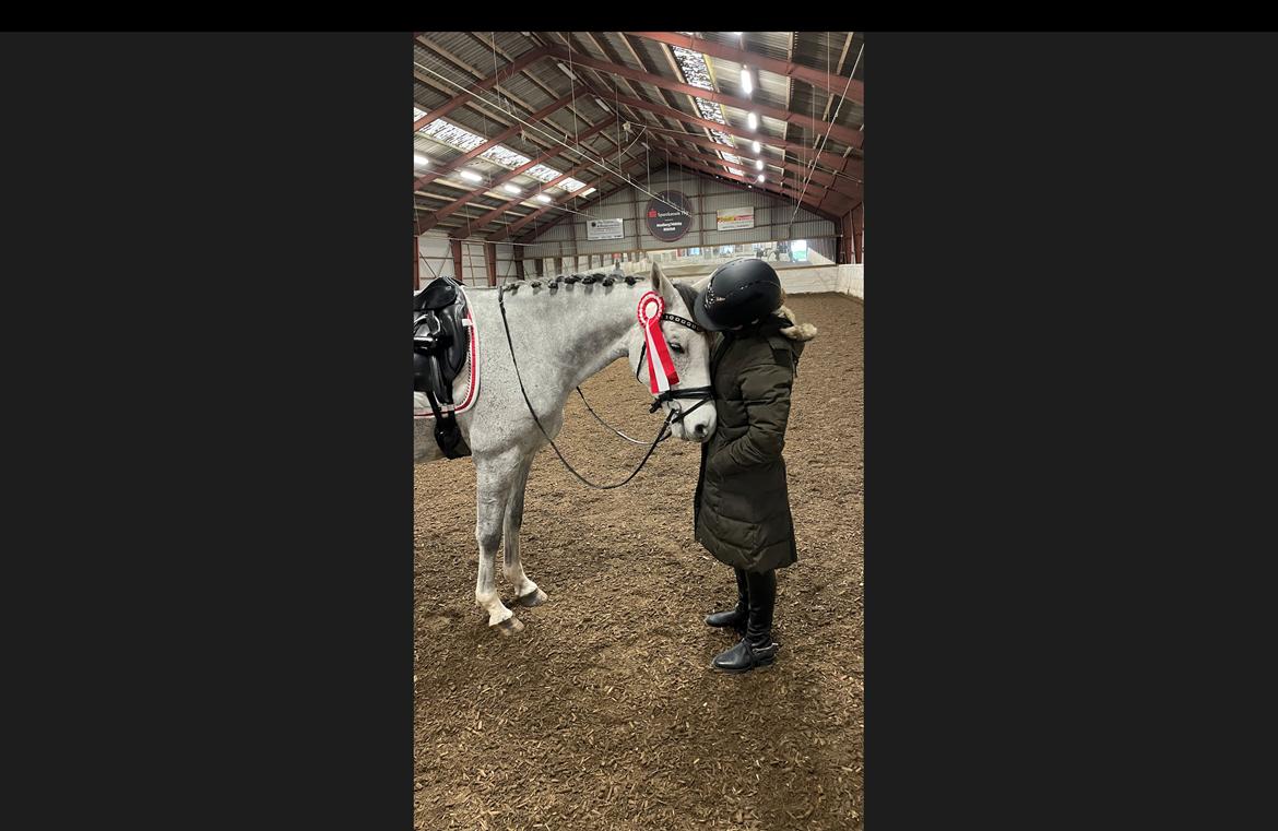 DSP DUPLO-VITZ billede 3