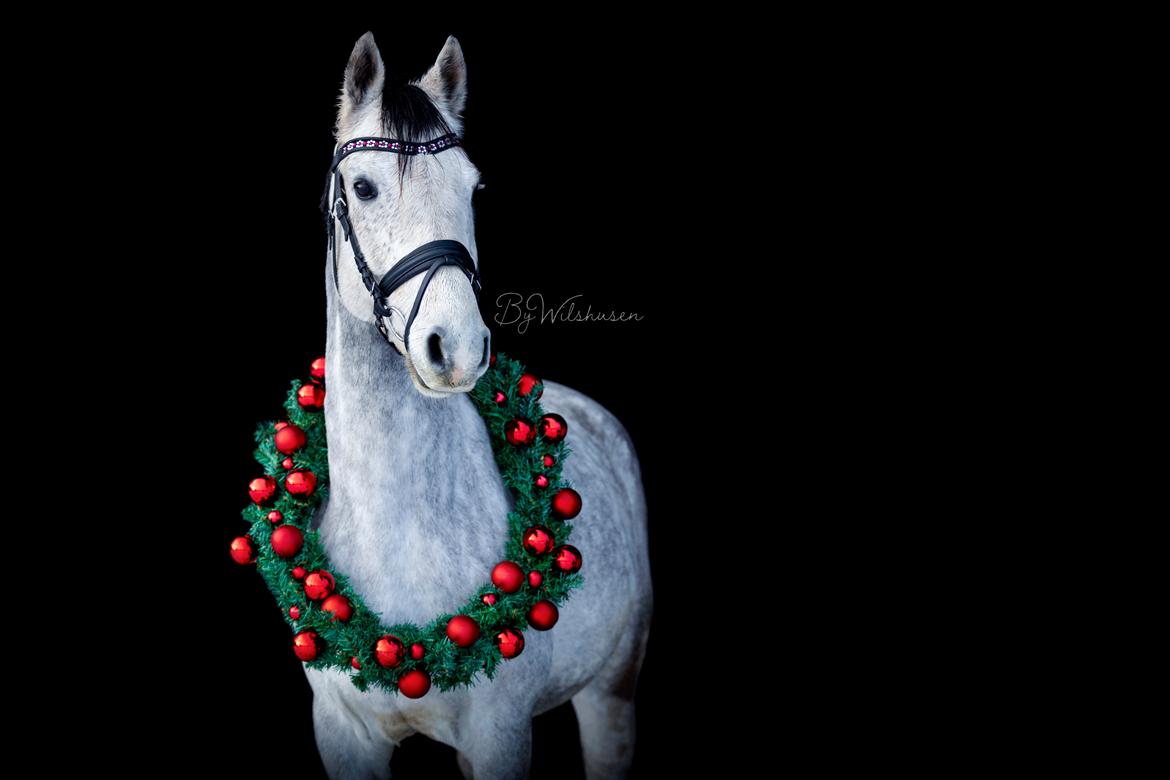 DSP DUPLO-VITZ billede 2