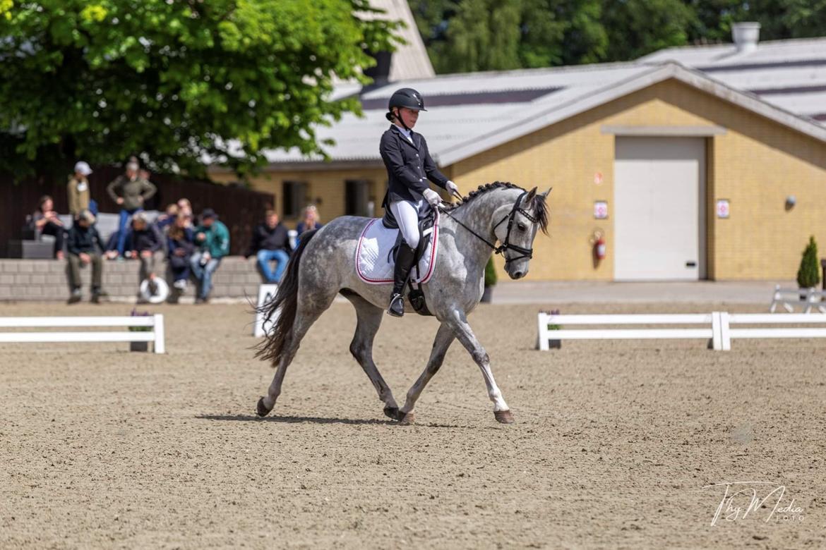 DSP DUPLO-VITZ billede 6