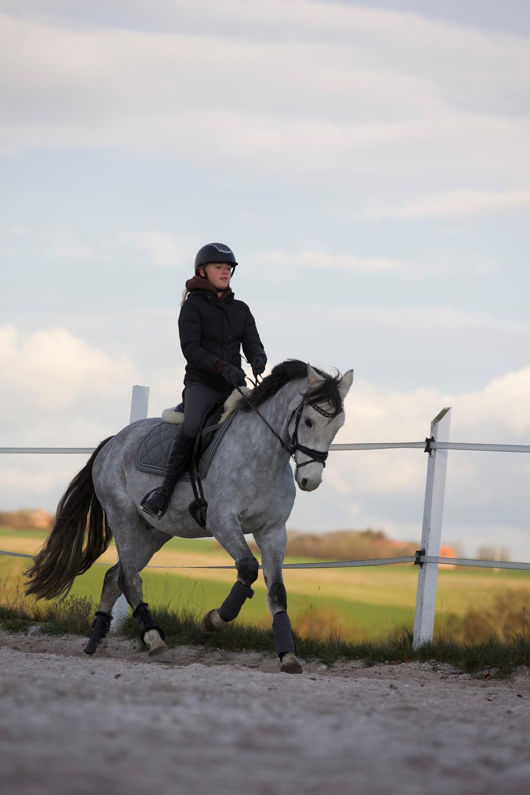 DSP DUPLO-VITZ billede 4