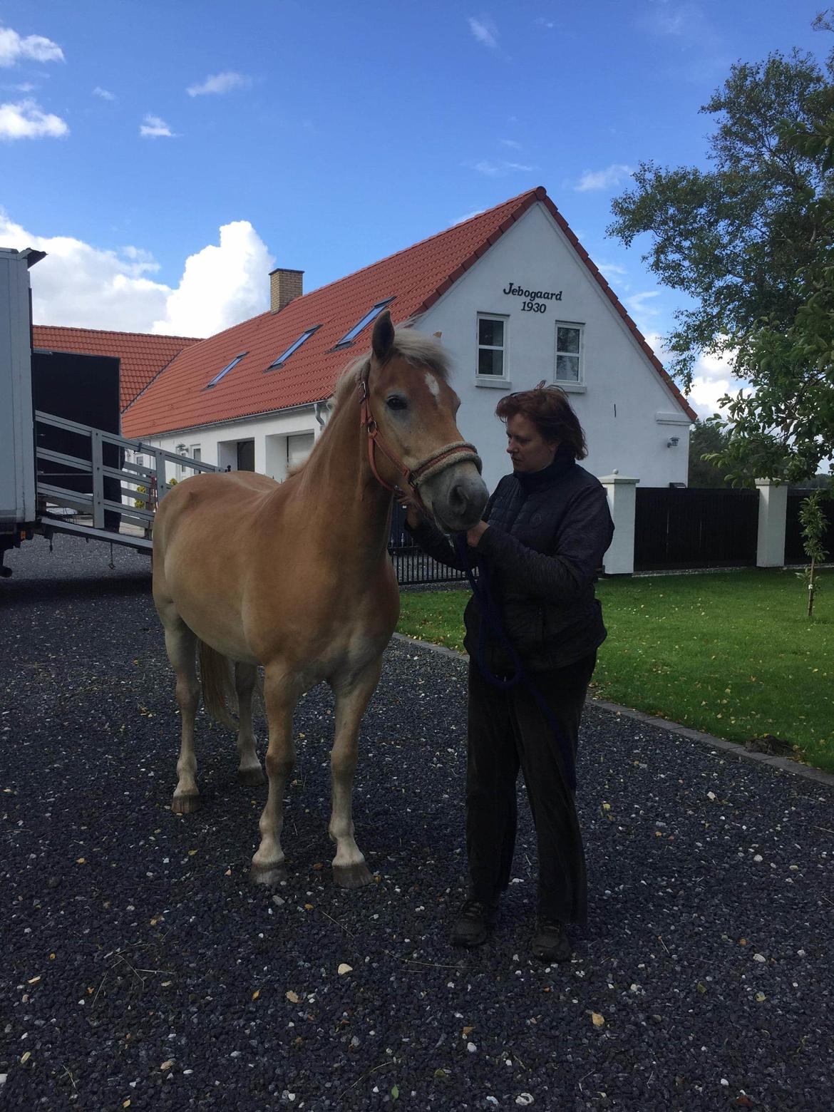 Anden særlig race Pele - Billedet er fra da jeg fik Pele hjem billede 4