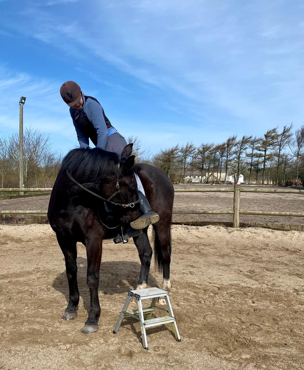 Oldenborg Clement Fjellerup ( Olli) billede 17