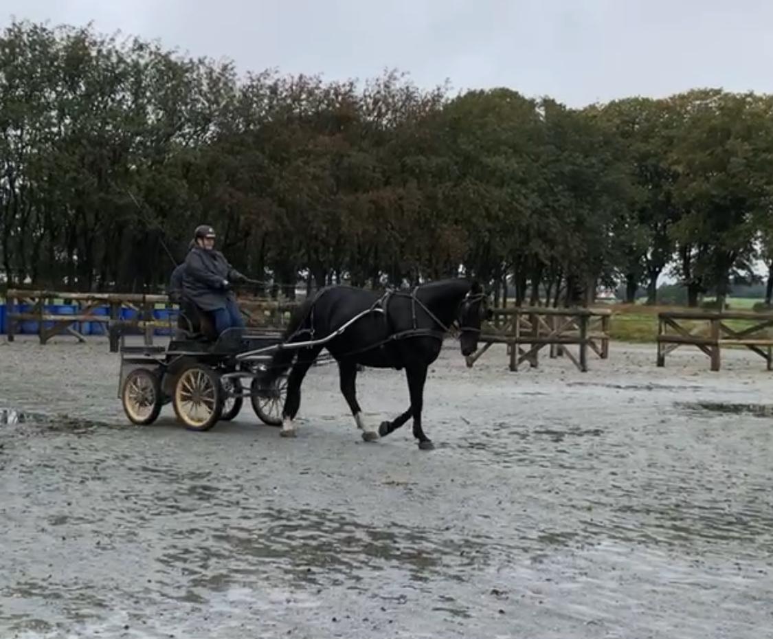 Oldenborg Clement Fjellerup ( Olli) billede 15