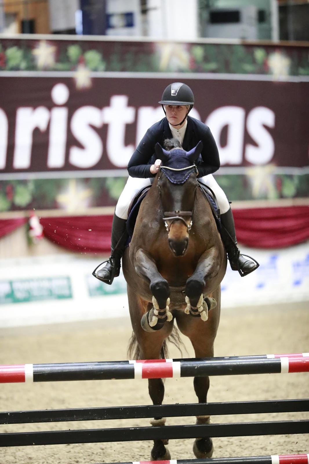 Holstener Catoona billede 7