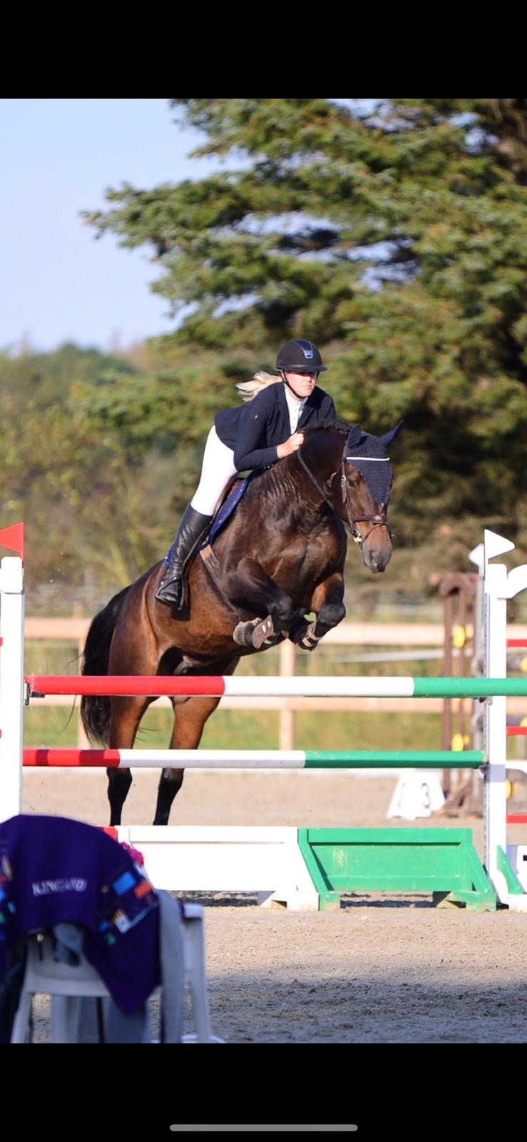 Holstener Catoona billede 4