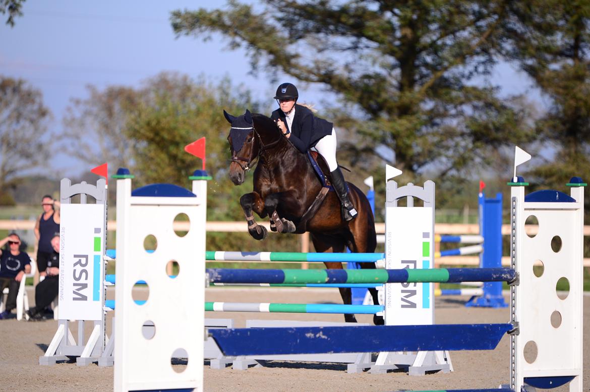 Holstener Catoona billede 5