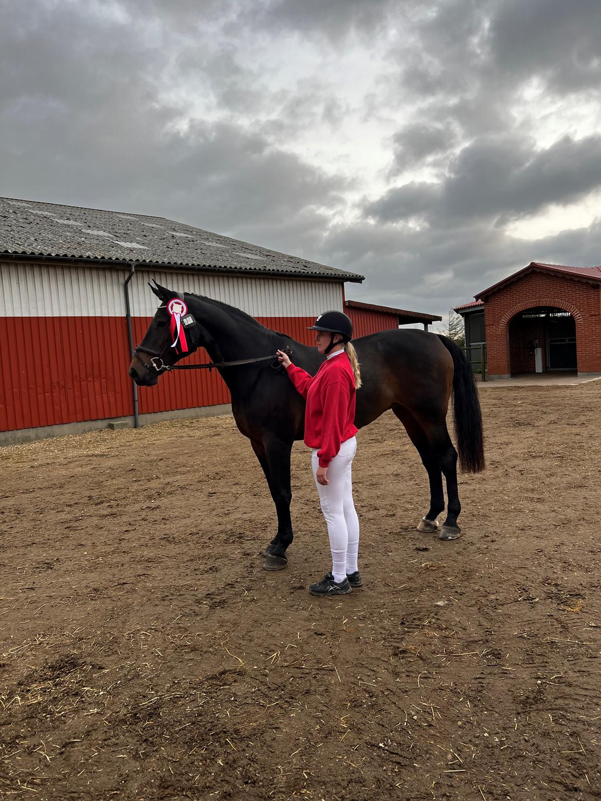 Holstener Catoona billede 6