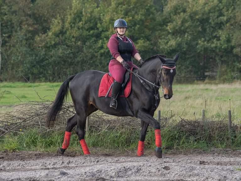 Anden særlig race Lundsmindes Nobell billede 6