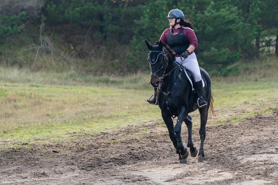 Anden særlig race Lundsmindes Nobell billede 8