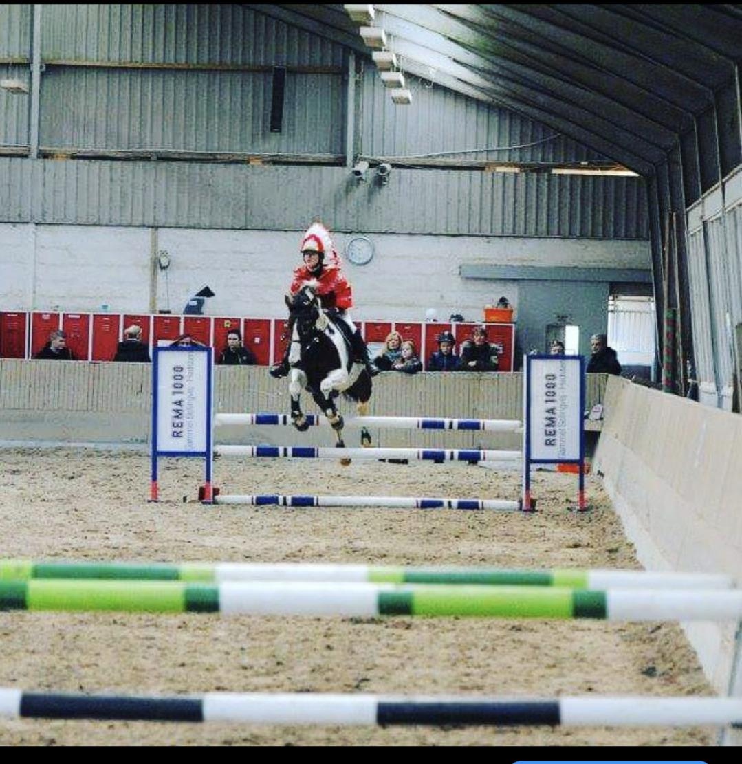 Pinto Sasja billede 11